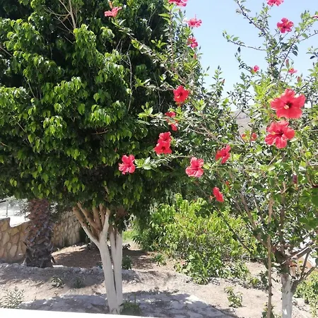 House With Garden In * بودروم